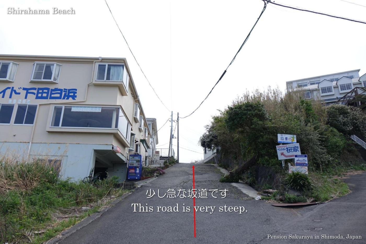 ペンション桜家 Otel Shimoda  Dış mekan fotoğraf